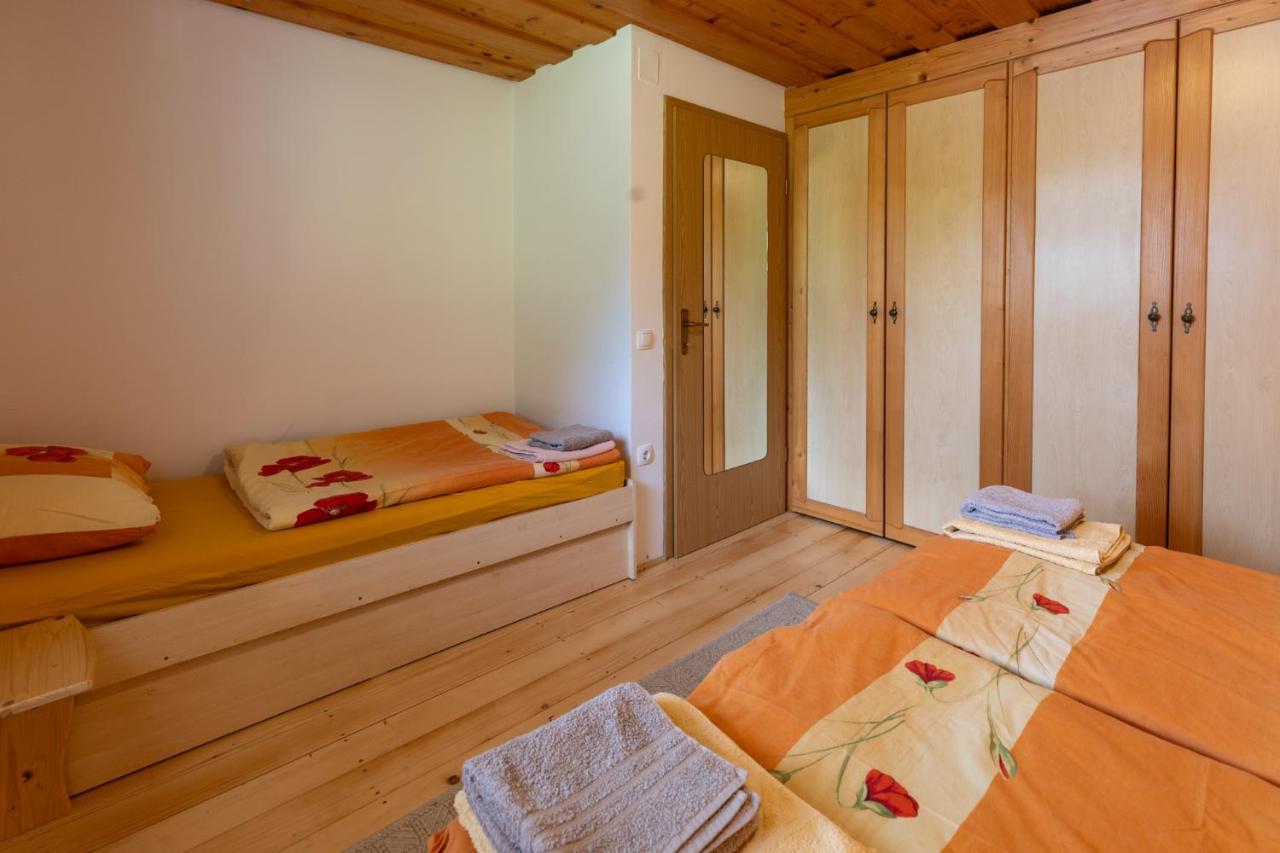 Apartma Metka ボーヒニ エクステリア 写真