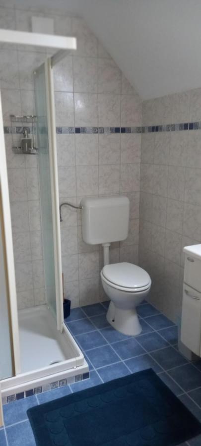 Apartma Metka ボーヒニ エクステリア 写真