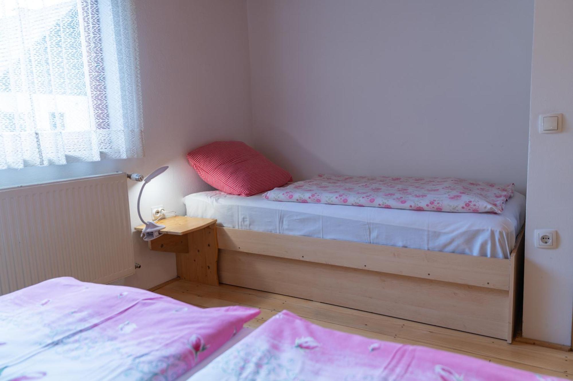 Apartma Metka ボーヒニ エクステリア 写真